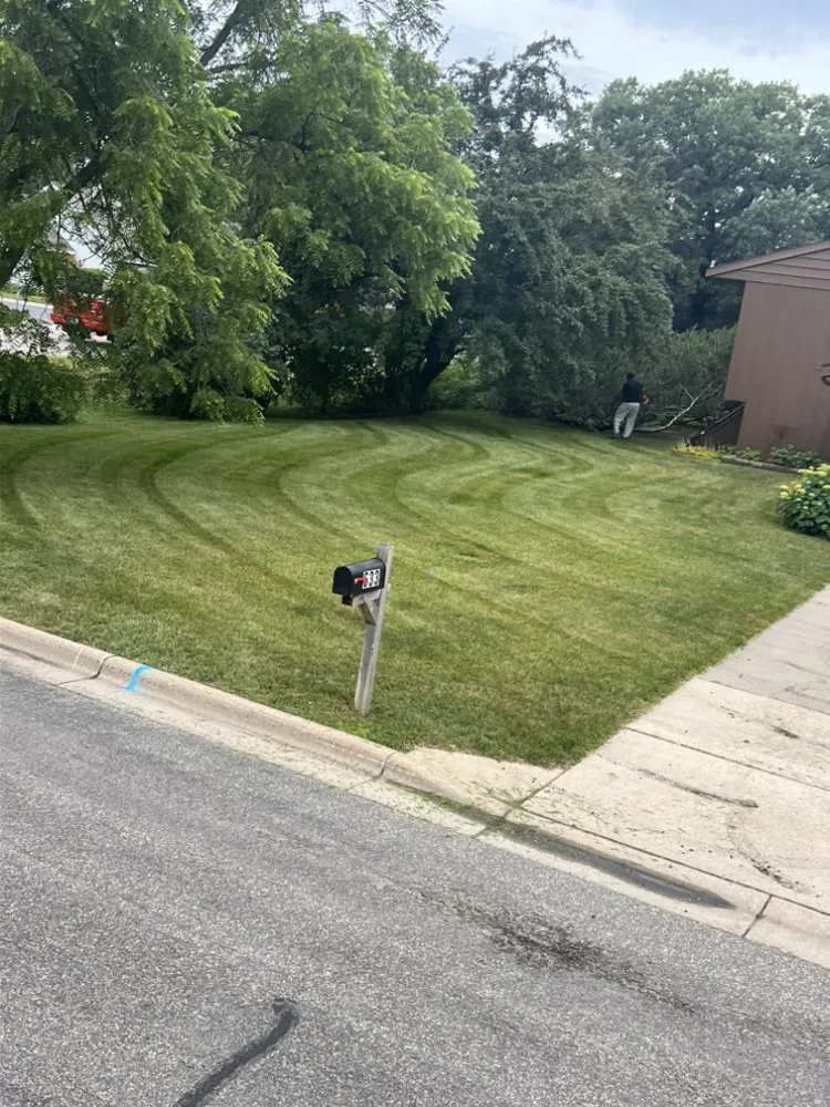 Local lawn care service experts serving St. Cloud, MN - ECOshifters