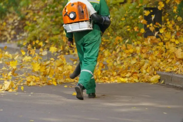 Reliable landscaping services in St. Cloud, MN by ECOshifters