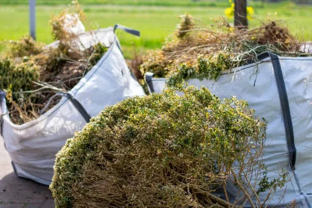 Expert residential landscaping for outdoor upgrades across St. Cloud, MN - ECOshifters