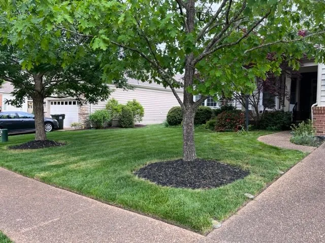 Trusted landscape design in Williamsburg, VA - Ecoshine Lawn Care