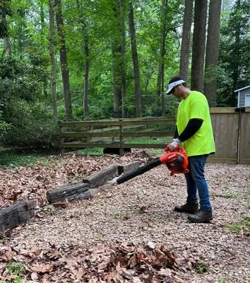 Ecoshine Lawn Care Logo