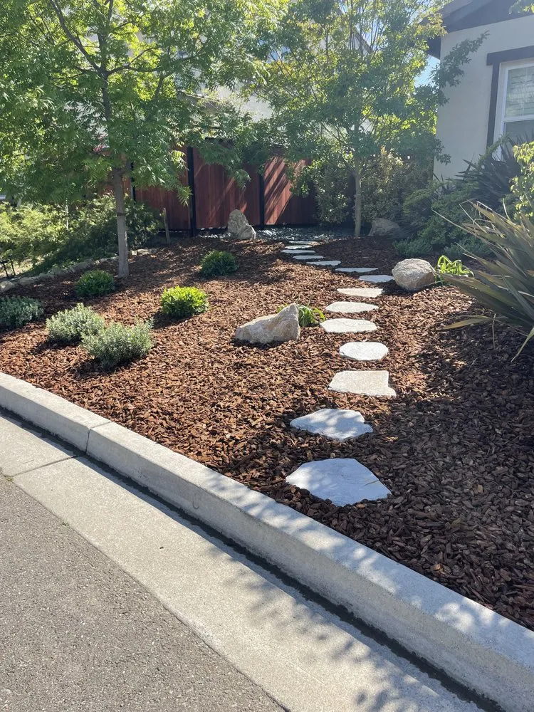Top-rated yard maintenance for residential properties across Fremont, CA - Ecosite Landscaping