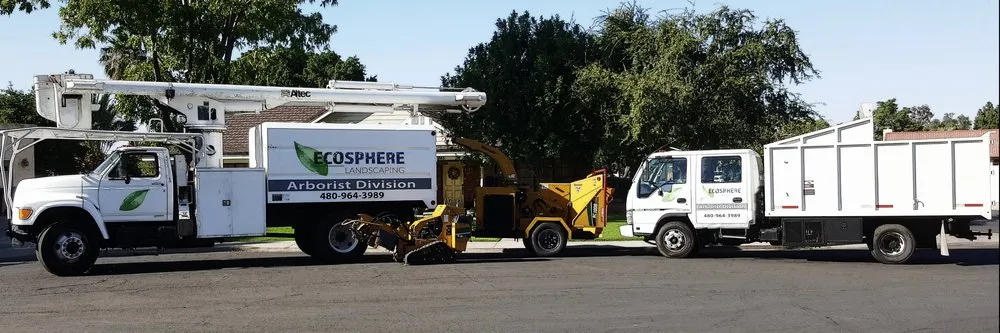 Reliable landscape installation in Gilbert, AZ - Ecosphere Landscaping