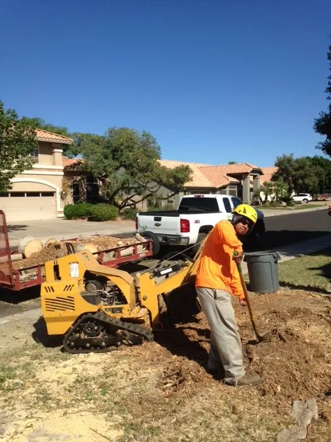 Custom yard maintenance in Gilbert, AZ - Ecosphere Landscaping