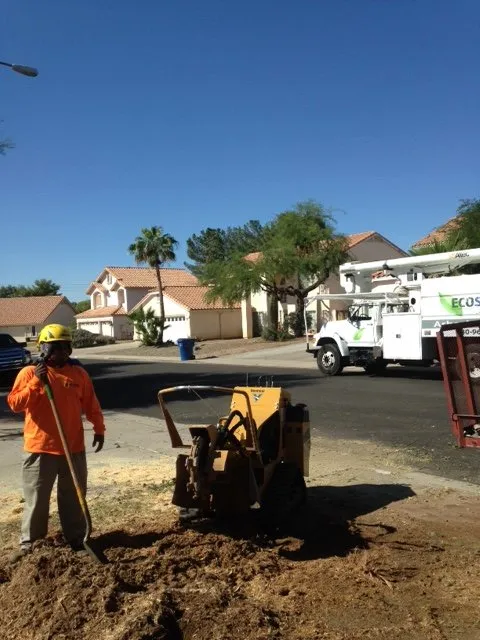 Reliable garden landscaping experts serving Gilbert, AZ - Ecosphere Landscaping