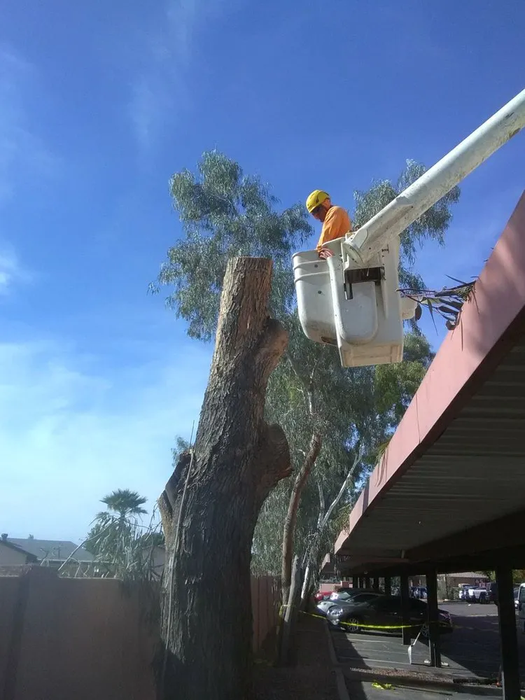 Reliable garden landscaping in Gilbert, AZ by Ecosphere Landscaping