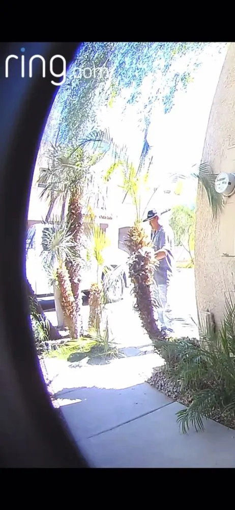 Top-rated garden landscaping in Gilbert, AZ - Ecosphere Landscaping