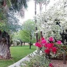 Top-rated landscape installation in Gilbert, AZ by Ecosphere Landscaping