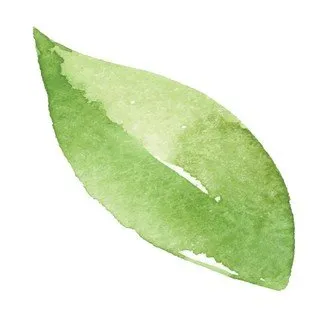 Expert landscape design for residential properties in Gilbert, AZ by Ecosphere Landscaping