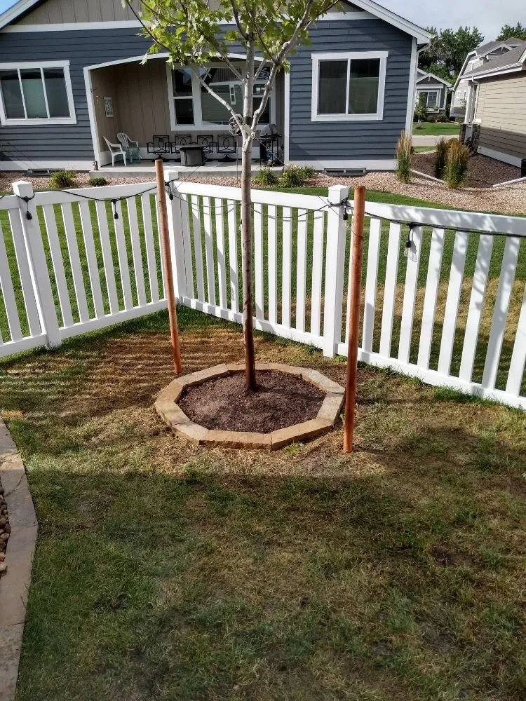 Affordable yard maintenance near you across Fort Collins, CO - EcoSpring Landscaping