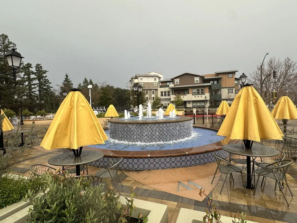 Local yard cleanup service for residential properties in San Bruno, CA by ECOSystems Landscape Solutions