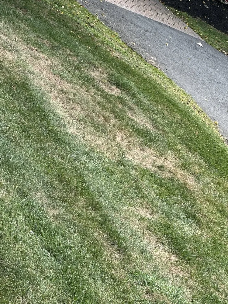 Reliable outdoor landscaping for residential properties across Freehold, NJ - Ecosystems Total Outdoor Solutions