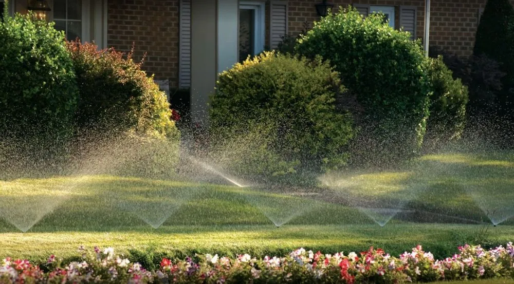 Professional garden landscaping in Freehold, NJ - Ecosystems Total Outdoor Solutions