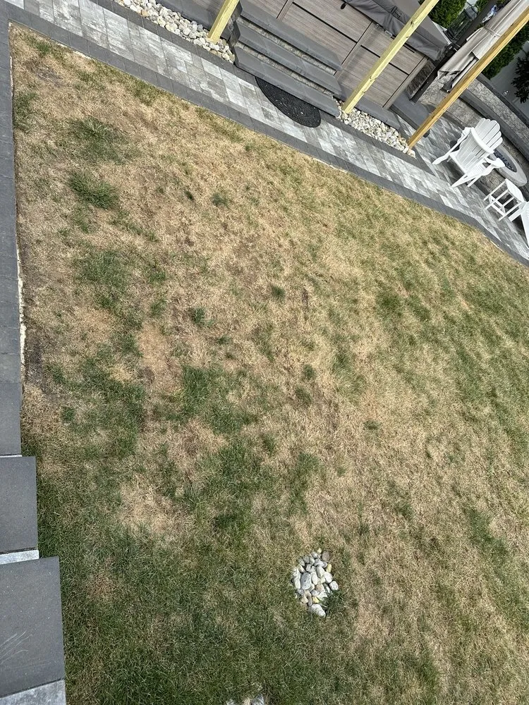 Expert yard maintenance experts serving Freehold, NJ - Ecosystems Total Outdoor Solutions