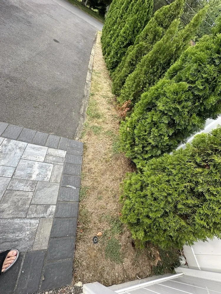 Reliable landscaping services in Freehold, NJ - Ecosystems Total Outdoor Solutions