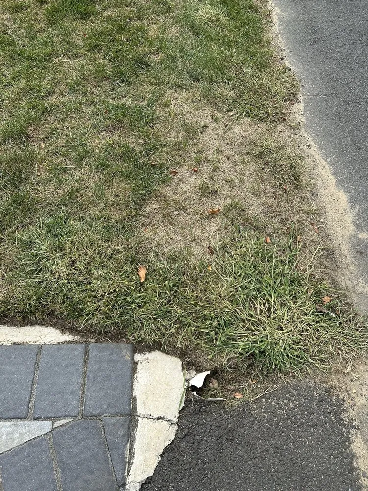 Affordable landscape design experts serving Freehold, NJ - Ecosystems Total Outdoor Solutions