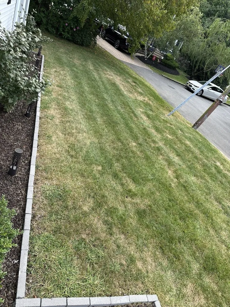 Affordable garden landscaping for beautiful yards across Freehold, NJ - Ecosystems Total Outdoor Solutions