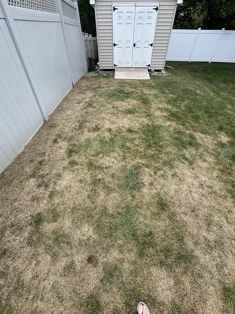 Reliable outdoor landscaping for beautiful yards in Freehold, NJ by Ecosystems Total Outdoor Solutions