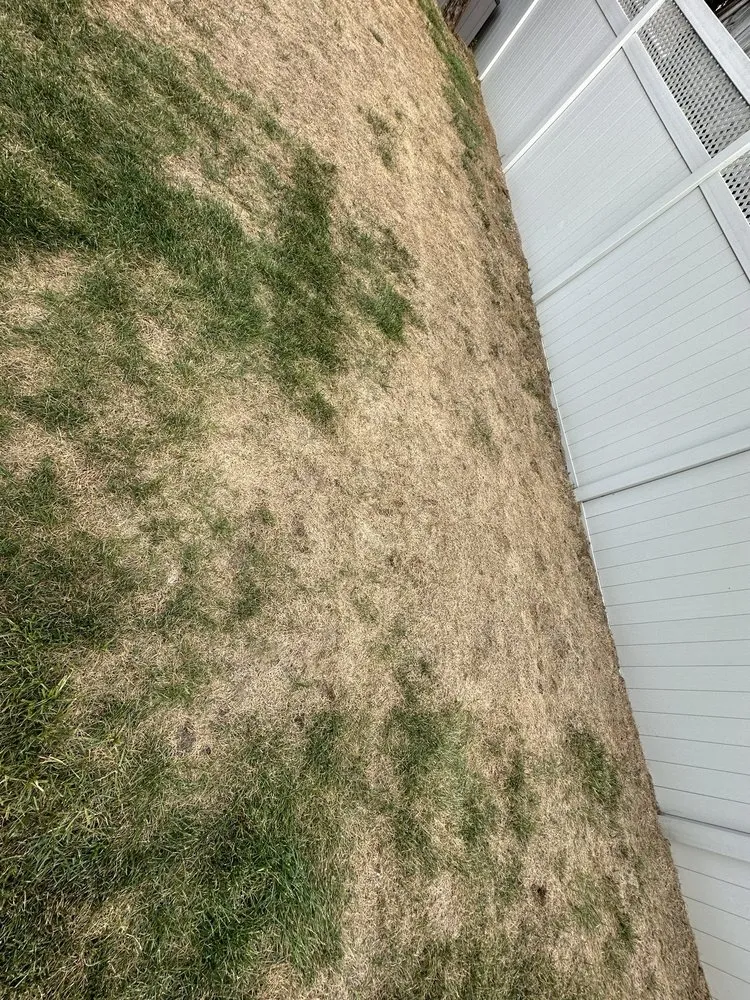 Custom yard cleanup service in Freehold, NJ - Ecosystems Total Outdoor Solutions