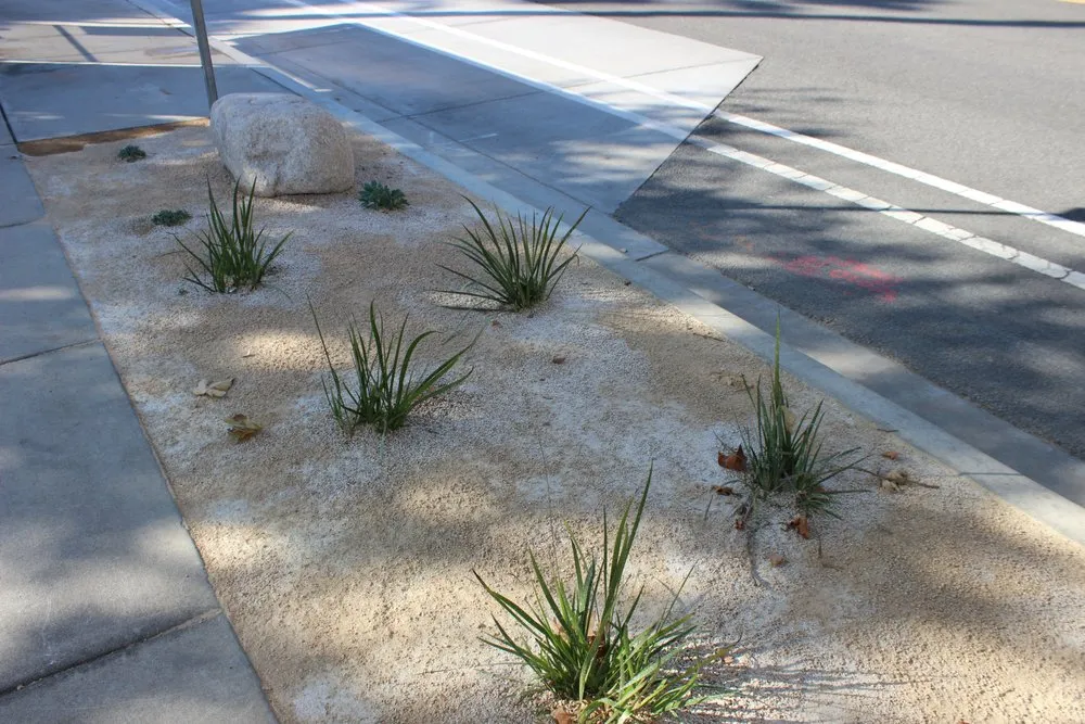 Local garden landscaping in Pomona, CA - EcoTech Services