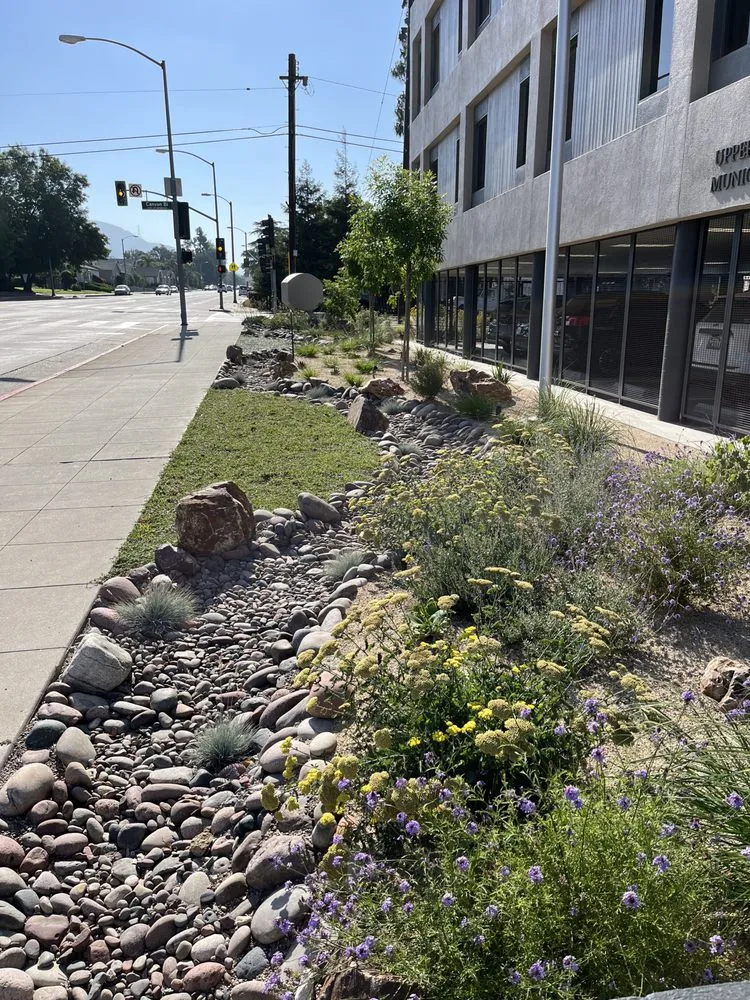 Reliable lawn care service for beautiful yards in Pomona, CA by EcoTech Services