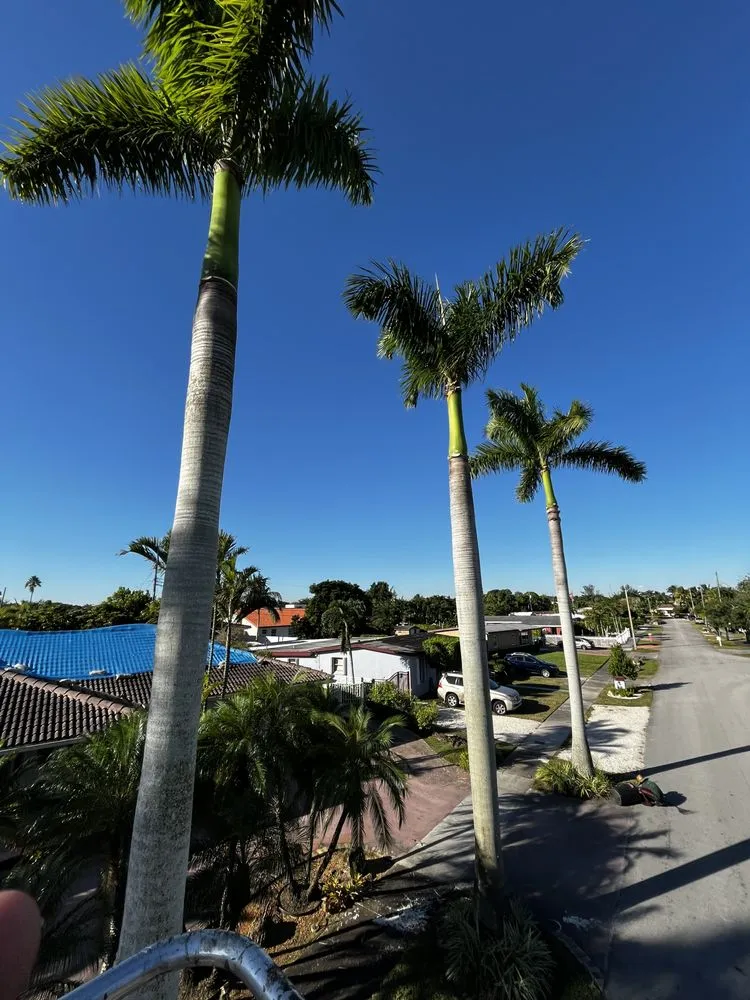 Reliable yard maintenance for year-round maintenance across Miami, FL - Ecotect Landscape