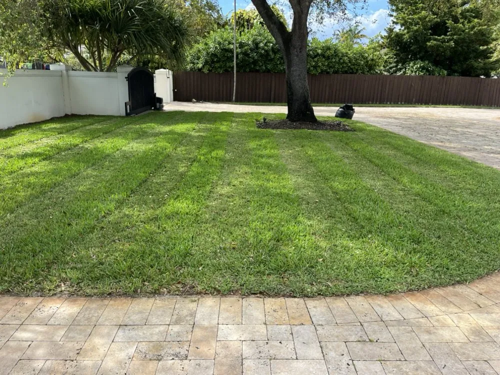 Custom outdoor landscaping in Miami, FL by Ecotect Landscape