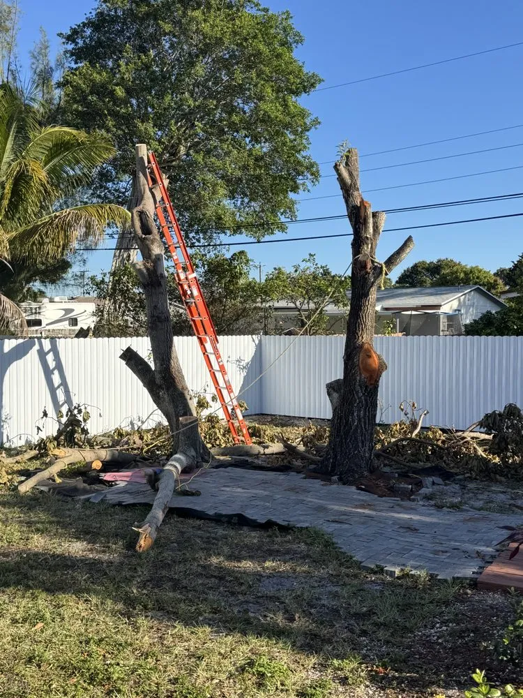 Expert landscaping services in Miami, FL - Ecotect Landscape