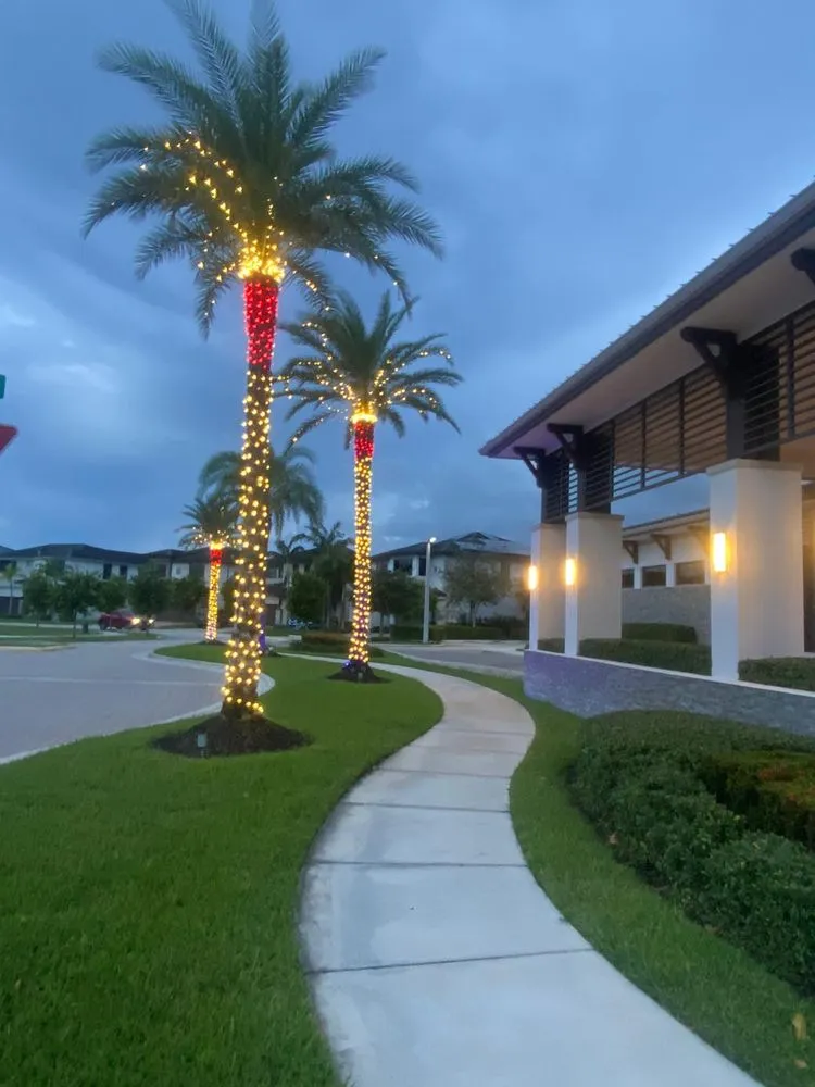 Top-rated yard cleanup service for year-round maintenance in Miami, FL by Ecotect Landscape