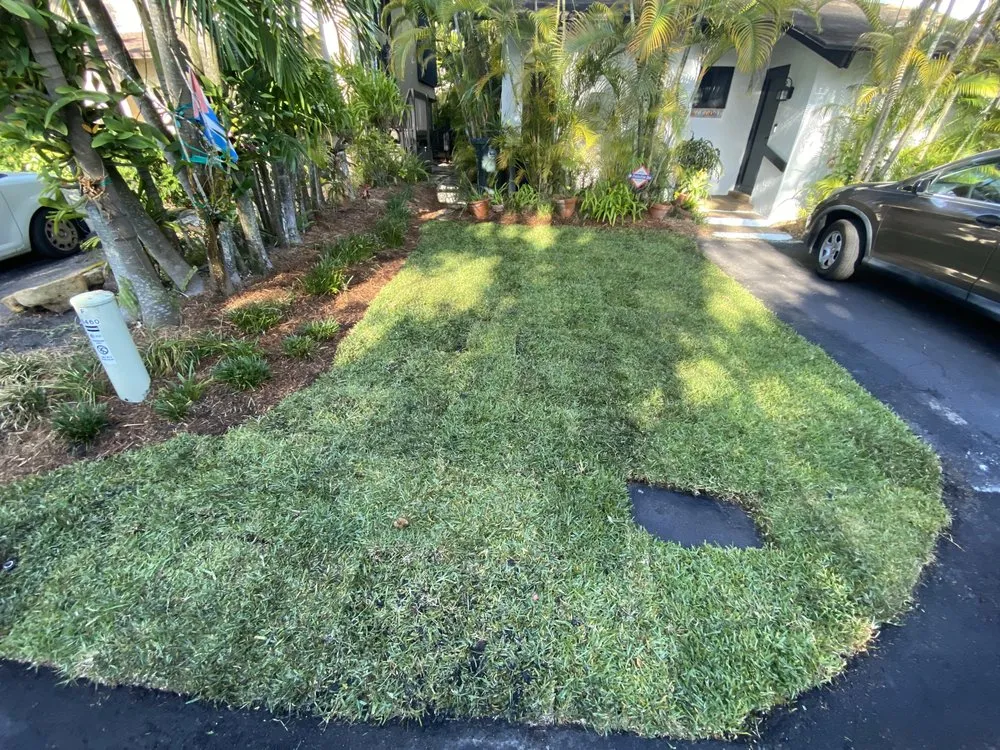 Reliable landscaping services in Miami, FL by Ecotect Landscape