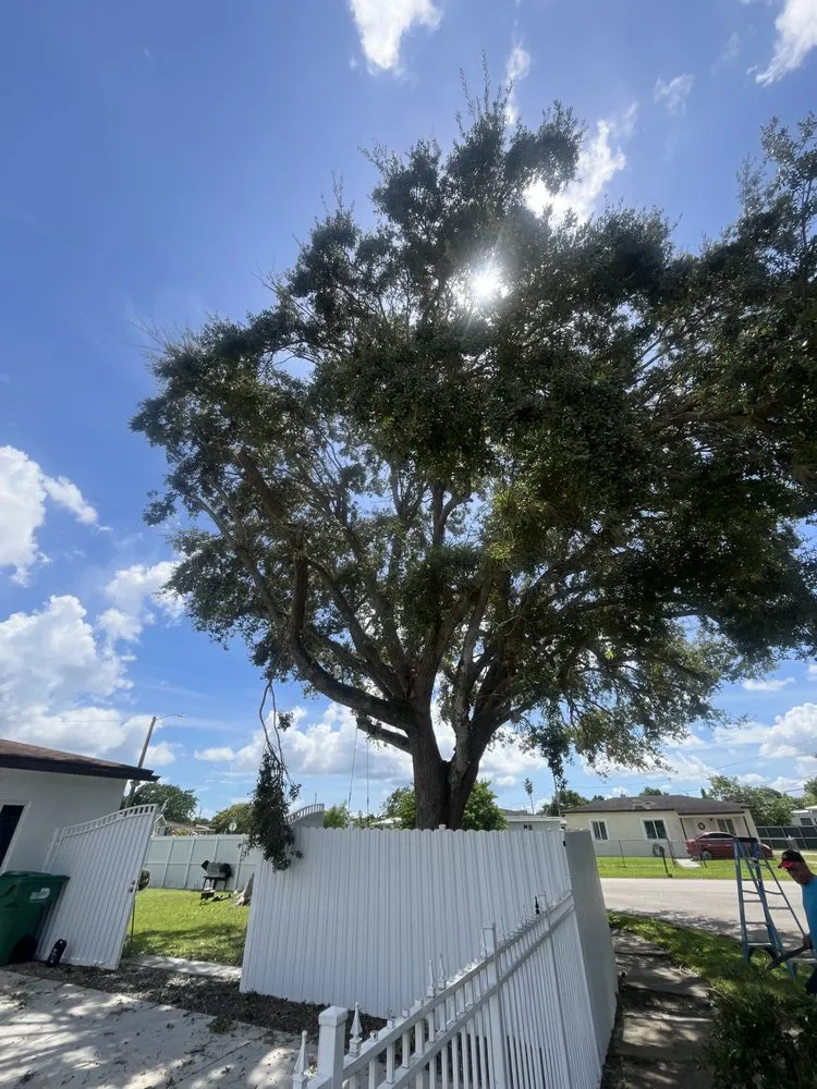 Custom lawn mowing service experts serving Miami, FL - Ecotect Landscape