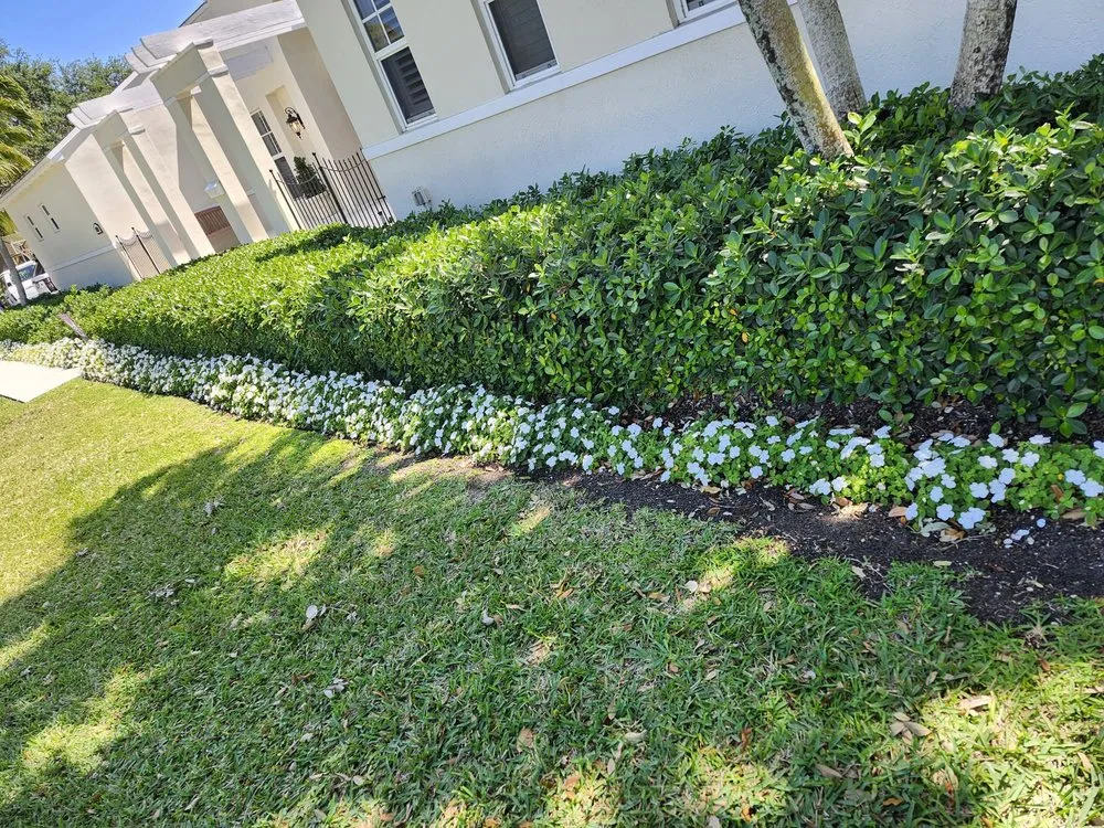 Expert garden landscaping in Miami, FL by Ecotect Landscape