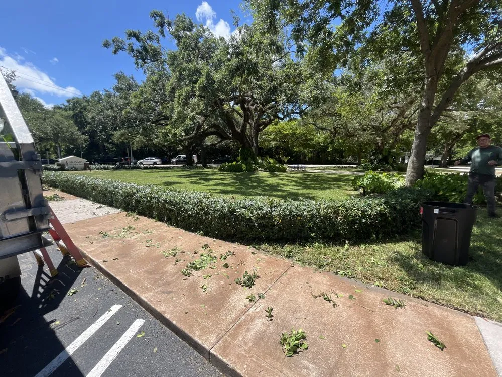 Professional lawn mowing service in Miami, FL by Ecotect Landscape