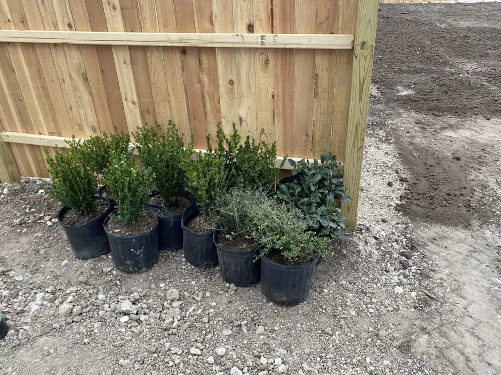 Affordable landscape design experts serving San Antonio, TX - Ecoterra Landscaping & Irrigation