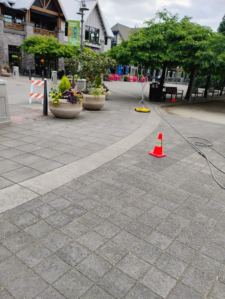 Local landscape design experts serving Salem, OR - Ecotrend