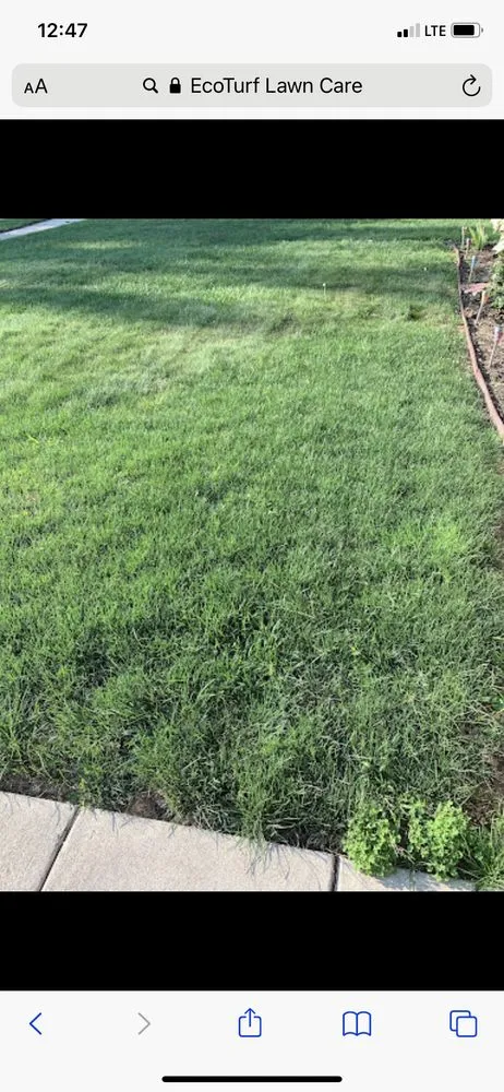 Professional landscape design in Sterling Heights, MI - EcoTurf Lawn Care