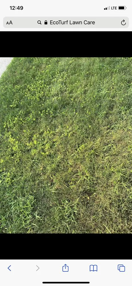 Professional lawn mowing service in Sterling Heights, MI by EcoTurf Lawn Care