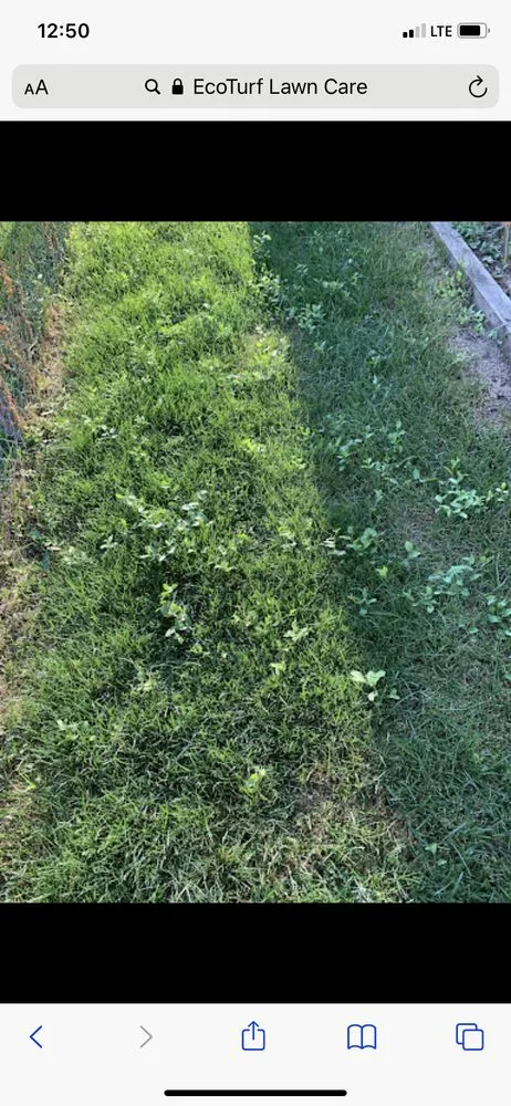 Custom lawn mowing service in Sterling Heights, MI by EcoTurf Lawn Care