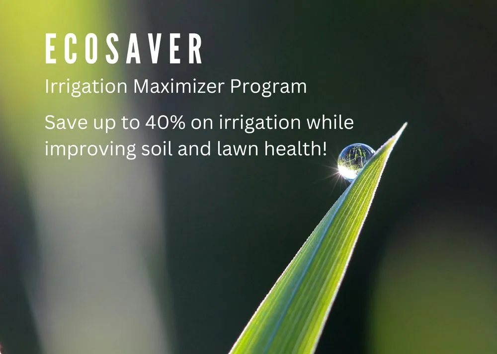 Trusted yard cleanup service experts serving Windsor, CO - EcoTurf of Northern Colorado