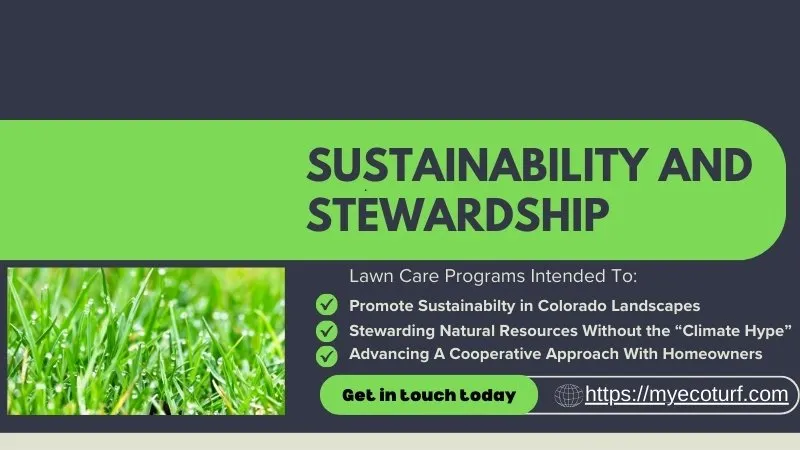 Expert landscaping services for residential properties in Windsor, CO by EcoTurf of Northern Colorado