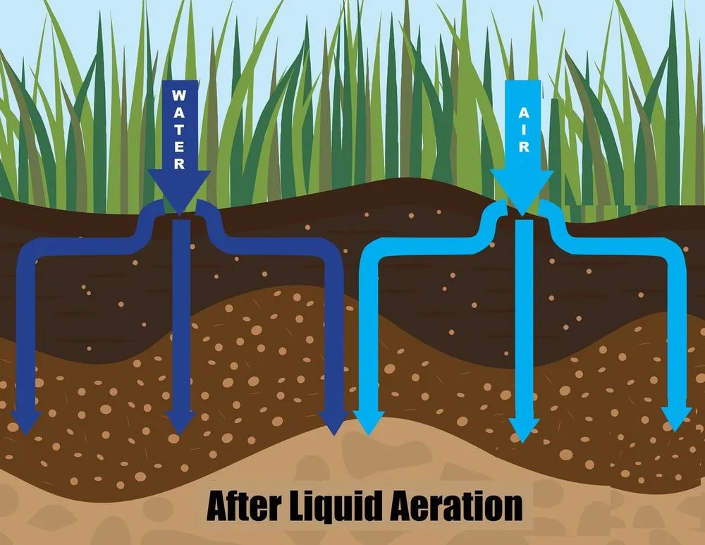 Local landscaping services experts serving Windsor, CO - EcoTurf of Northern Colorado