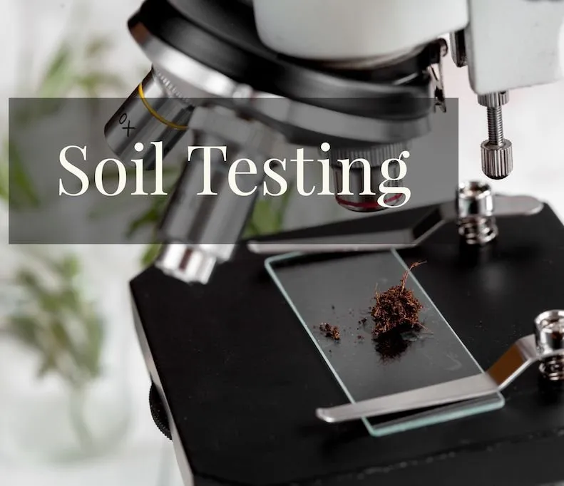 Expert outdoor landscaping for residential properties in Windsor, CO by EcoTurf of Northern Colorado