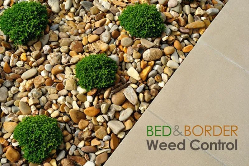 Expert residential landscaping experts serving Windsor, CO - EcoTurf of Northern Colorado