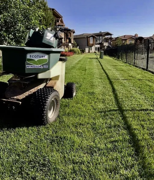 Reliable outdoor landscaping for year-round maintenance across Windsor, CO - EcoTurf of Northern Colorado