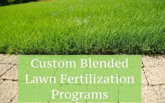 Trusted lawn mowing service experts serving Windsor, CO - EcoTurf of Northern Colorado