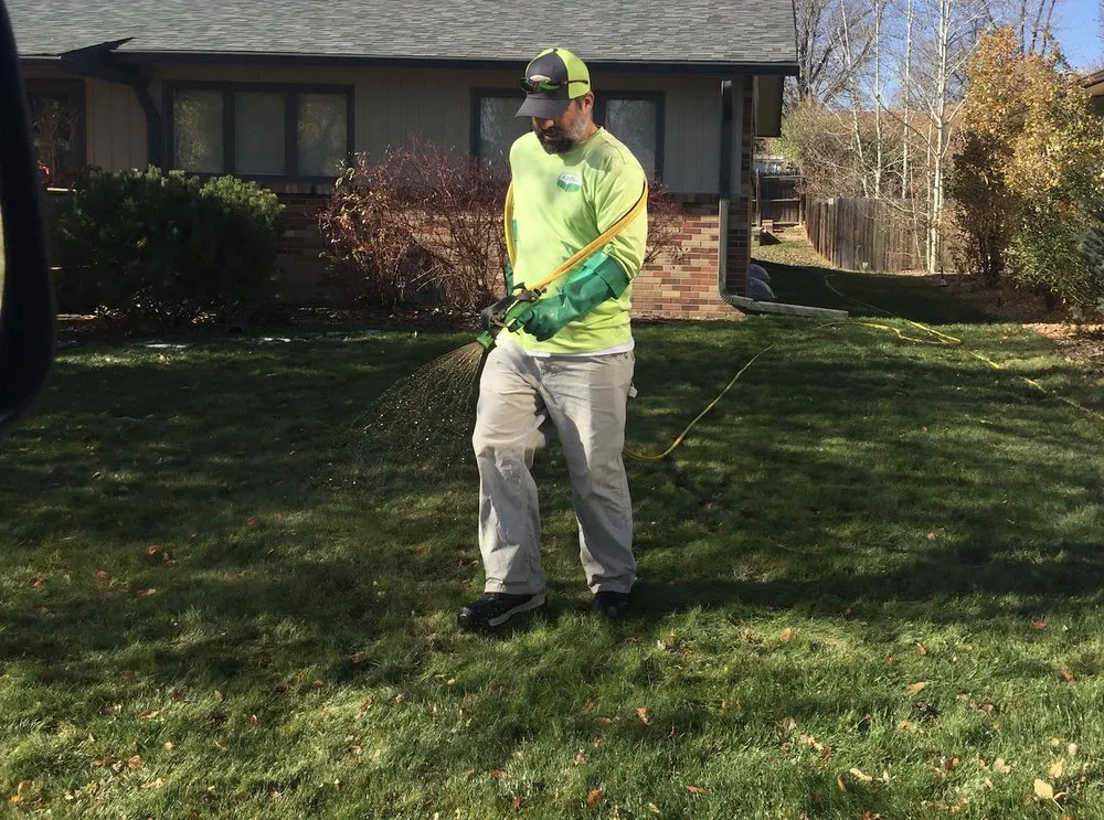 Professional outdoor landscaping in Windsor, CO by EcoTurf of Northern Colorado