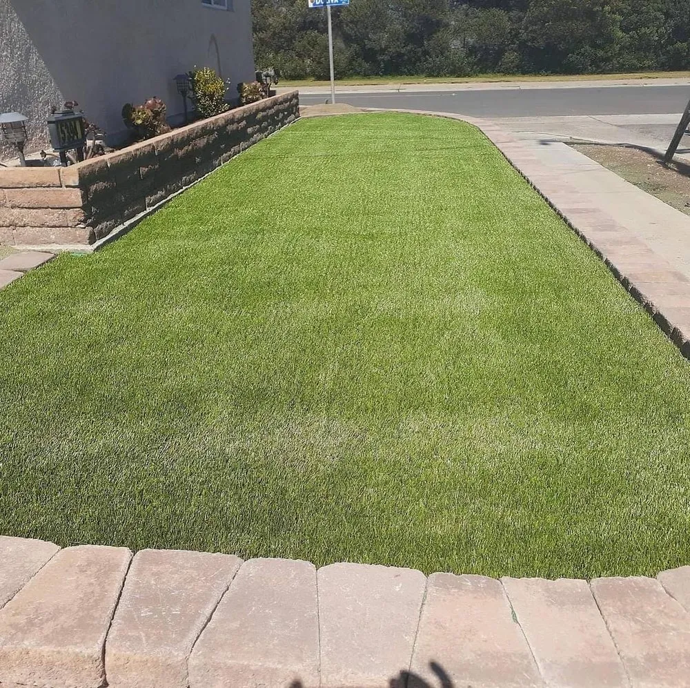 Local yard maintenance for homes across South Gate, CA - Ecoview Landscaping Services