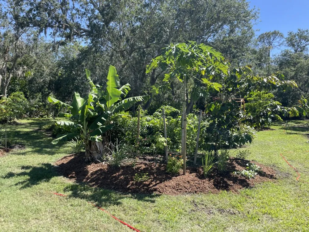 Affordable landscape installation in North Fort Myers, FL - Ecovision