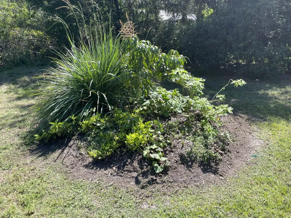 Expert landscape installation for outdoor upgrades across North Fort Myers, FL - Ecovision