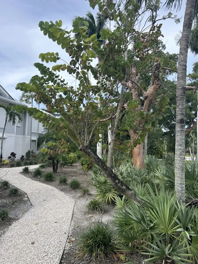 Trusted lawn mowing service experts serving North Fort Myers, FL - Ecovision